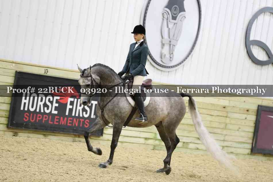 Proof 22BUCK_03920
