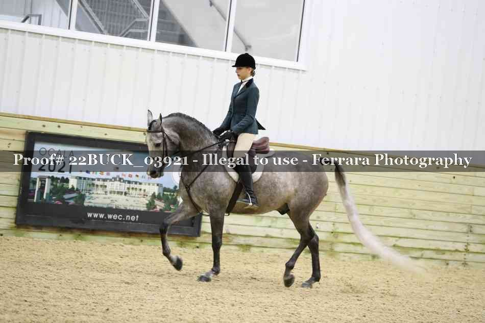 Proof 22BUCK_03921