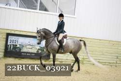 22BUCK_03921 proof