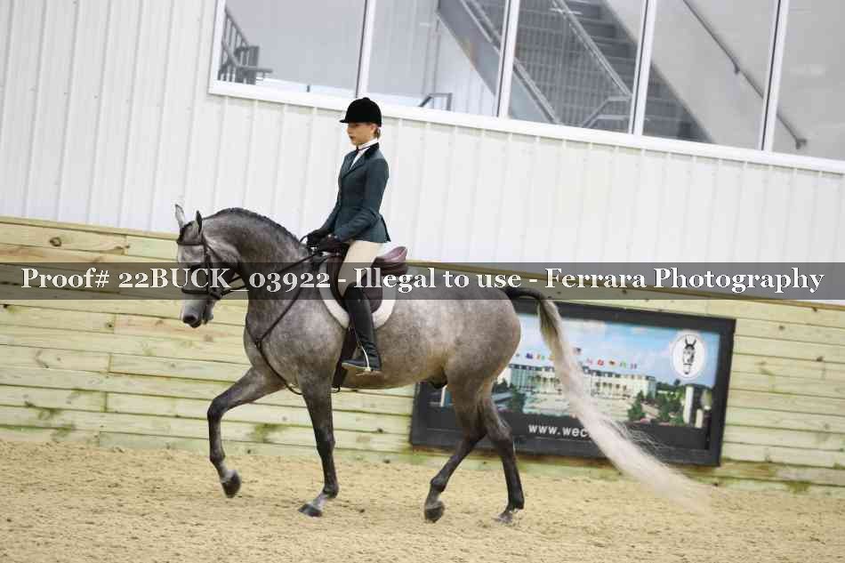 Proof 22BUCK_03922