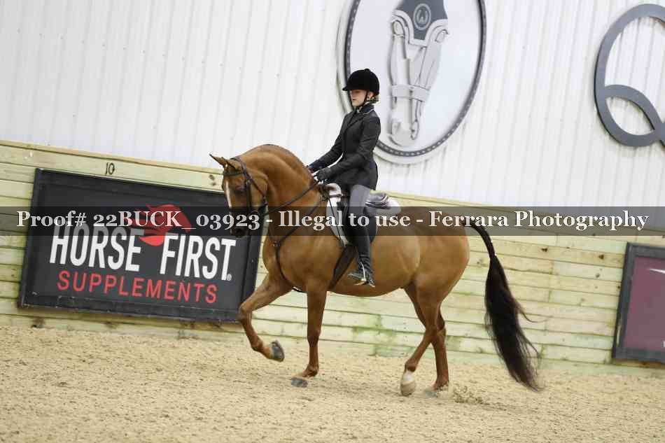 Proof 22BUCK_03923