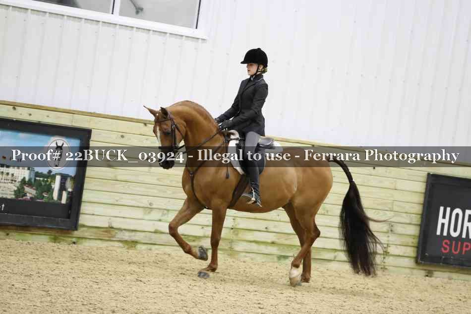 Proof 22BUCK_03924