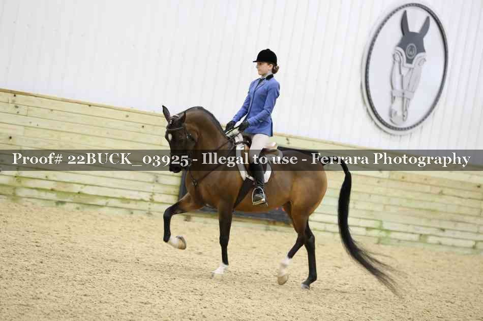 Proof 22BUCK_03925
