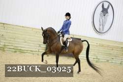 22BUCK_03925 proof