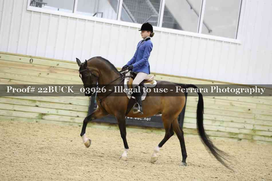 Proof 22BUCK_03926