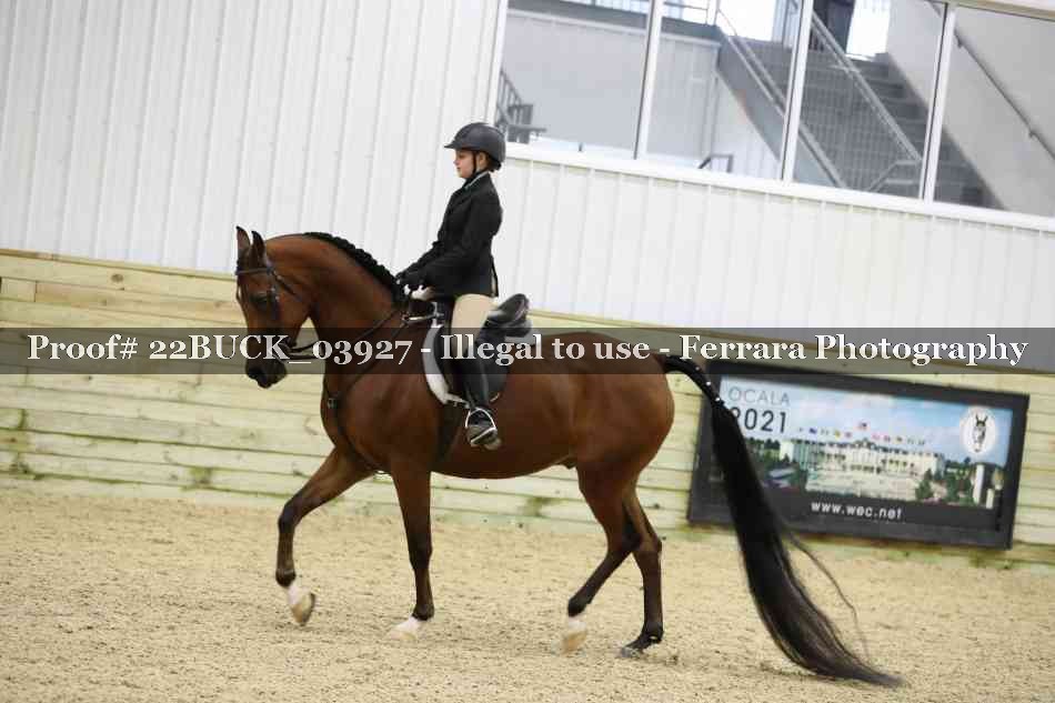 Proof 22BUCK_03927