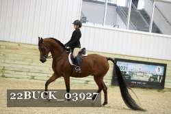 22BUCK_03927 proof