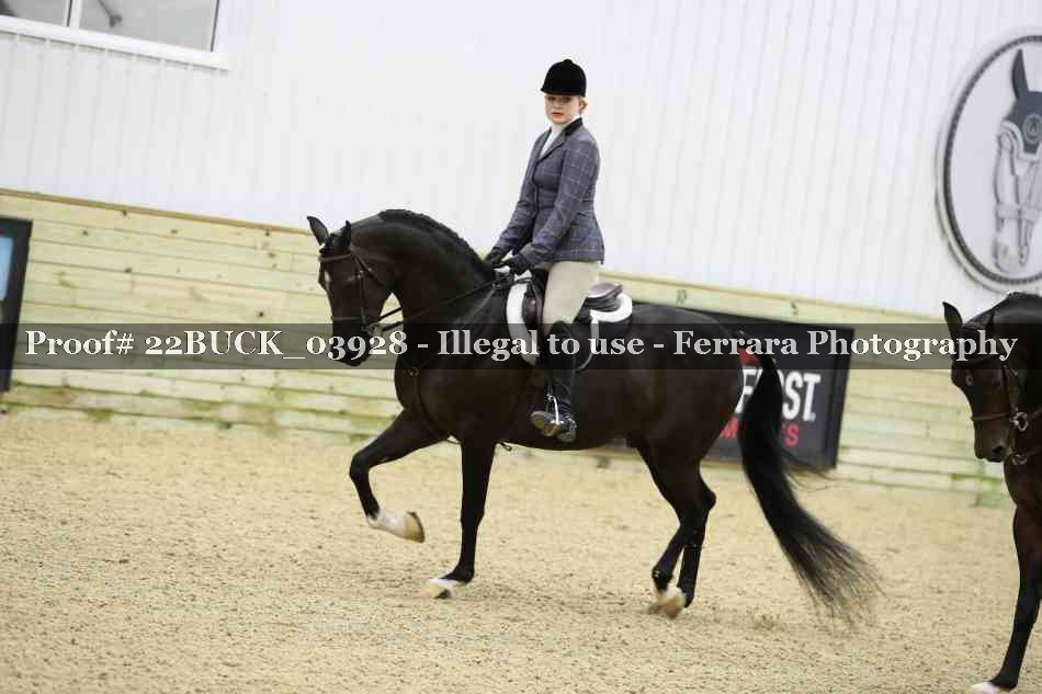 Proof 22BUCK_03928