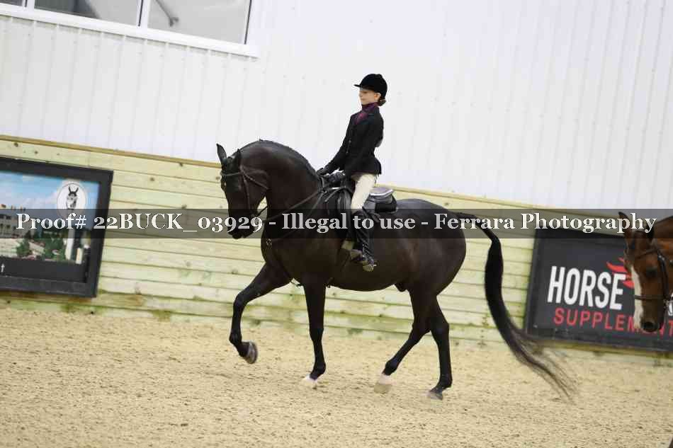 Proof 22BUCK_03929