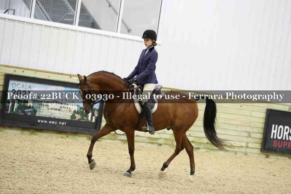 Proof 22BUCK_03930