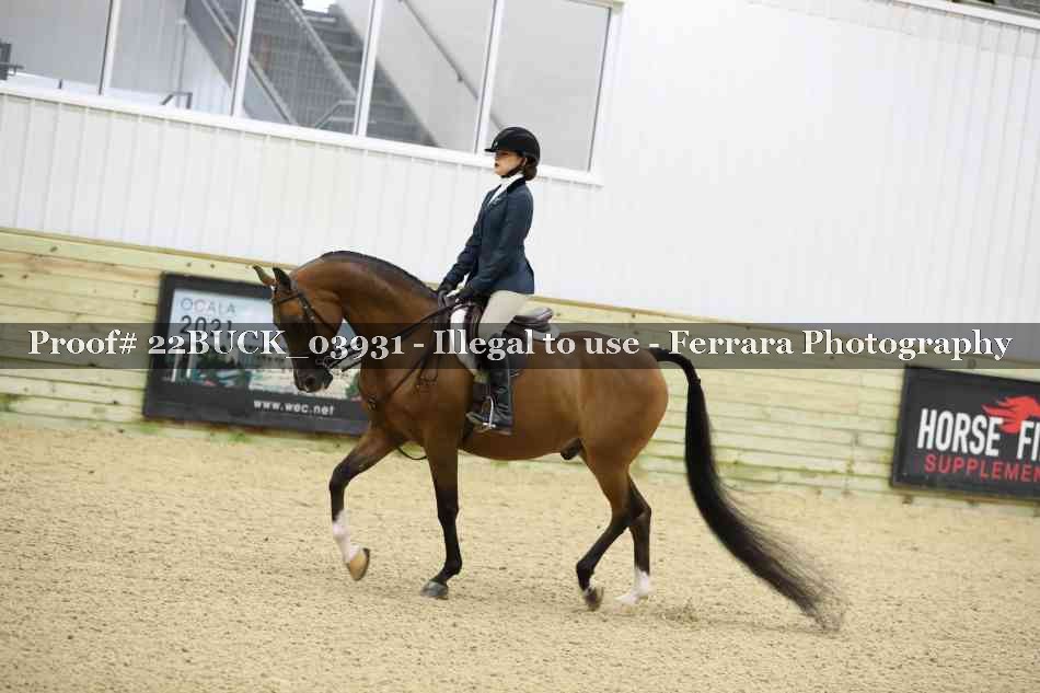 Proof 22BUCK_03931