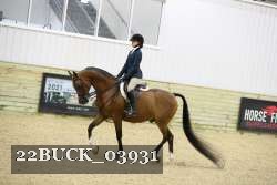 22BUCK_03931 proof