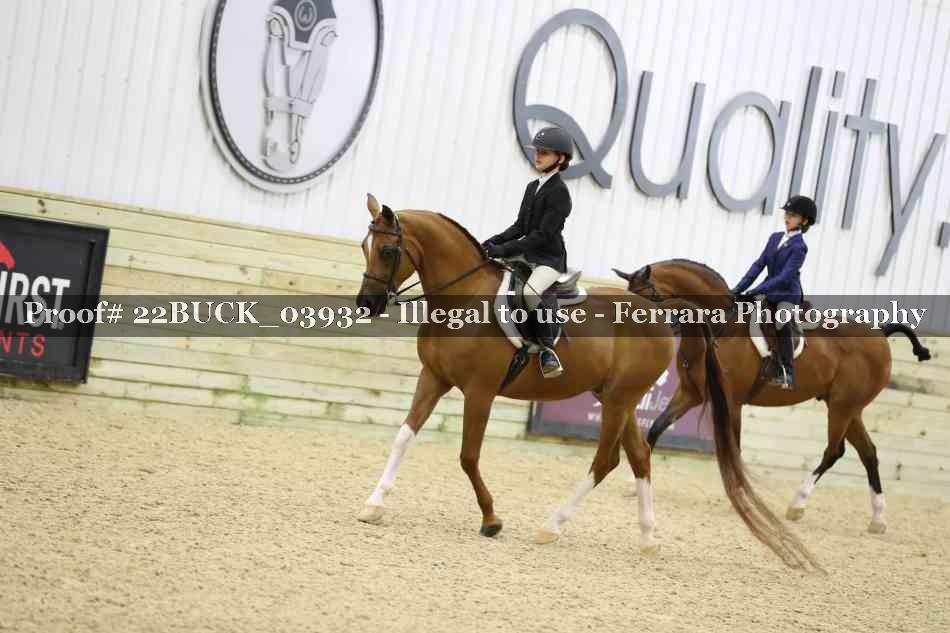 Proof 22BUCK_03932