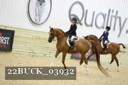 22BUCK_03932 proof