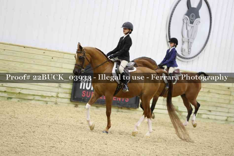 Proof 22BUCK_03933