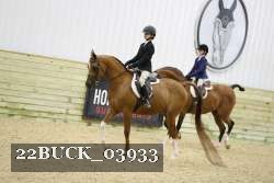 22BUCK_03933 proof