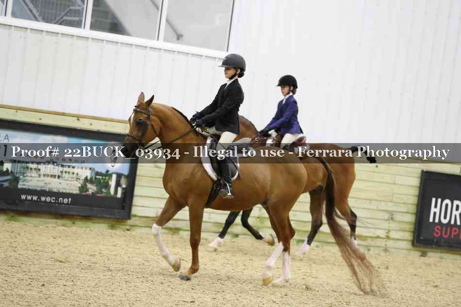 Proof 22BUCK_03934