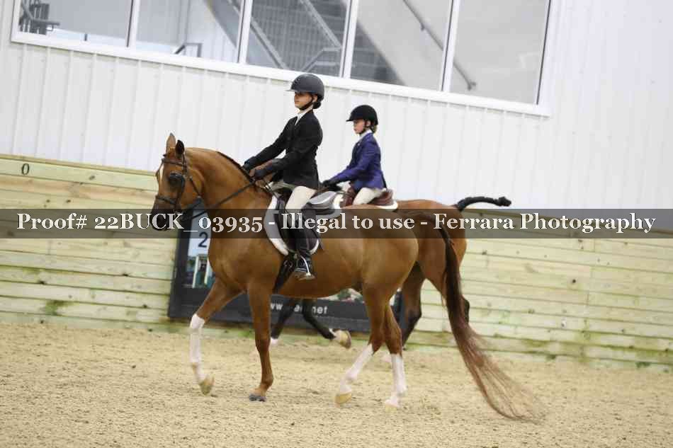 Proof 22BUCK_03935
