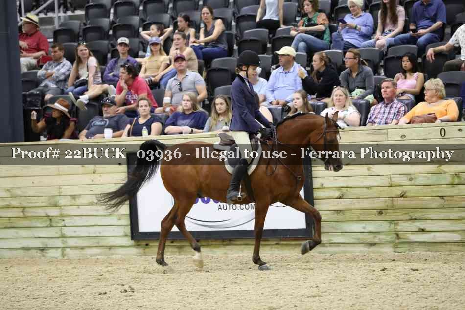 Proof 22BUCK_03936