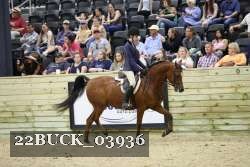 22BUCK_03936 proof