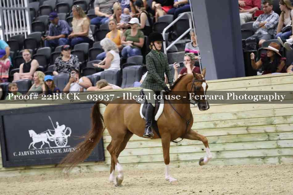 Proof 22BUCK_03937