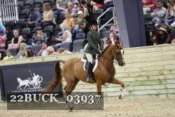 22BUCK_03937 proof