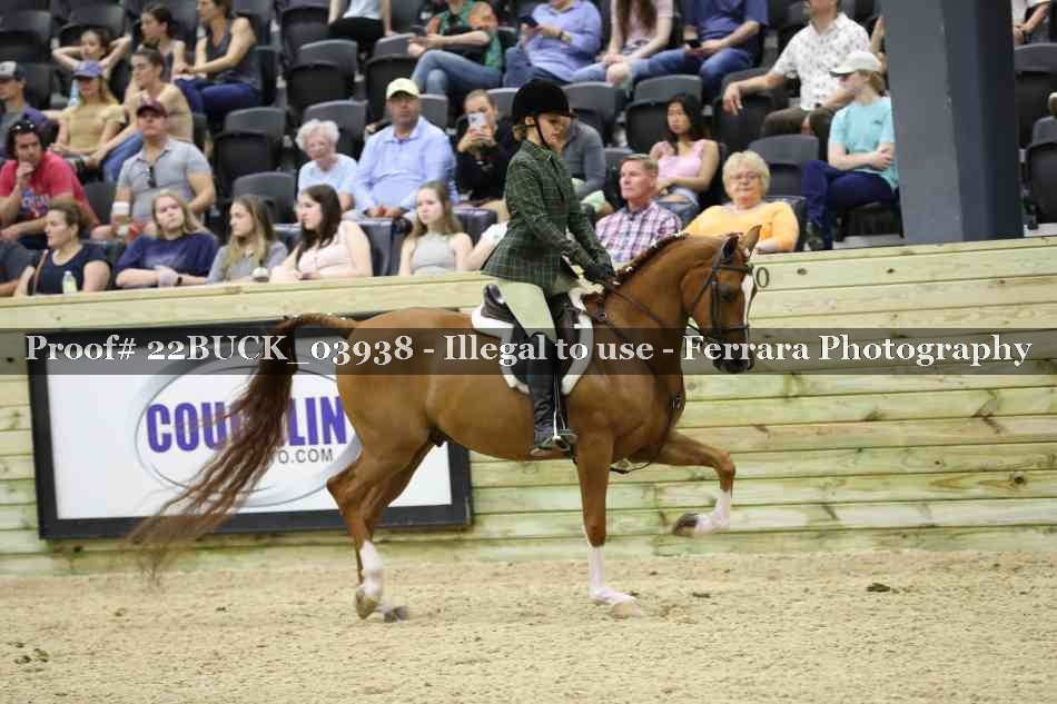 Proof 22BUCK_03938