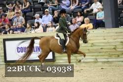 22BUCK_03938 proof