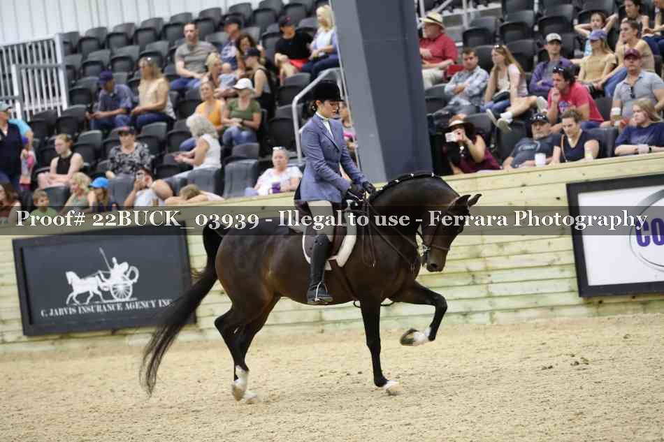 Proof 22BUCK_03939