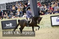 22BUCK_03939 proof