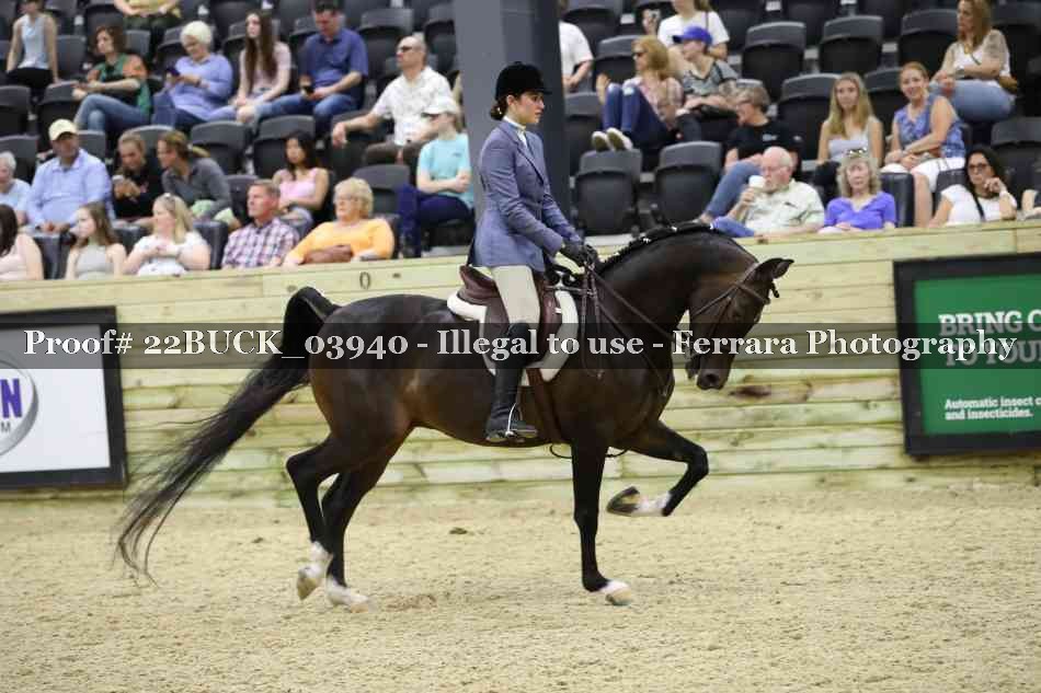 Proof 22BUCK_03940