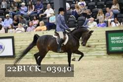 22BUCK_03940 proof
