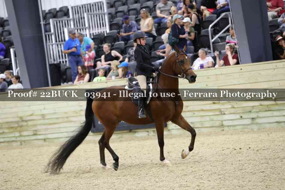 Proof 22BUCK_03941