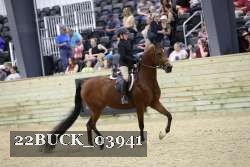 22BUCK_03941 proof