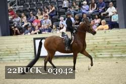 22BUCK_03942 proof
