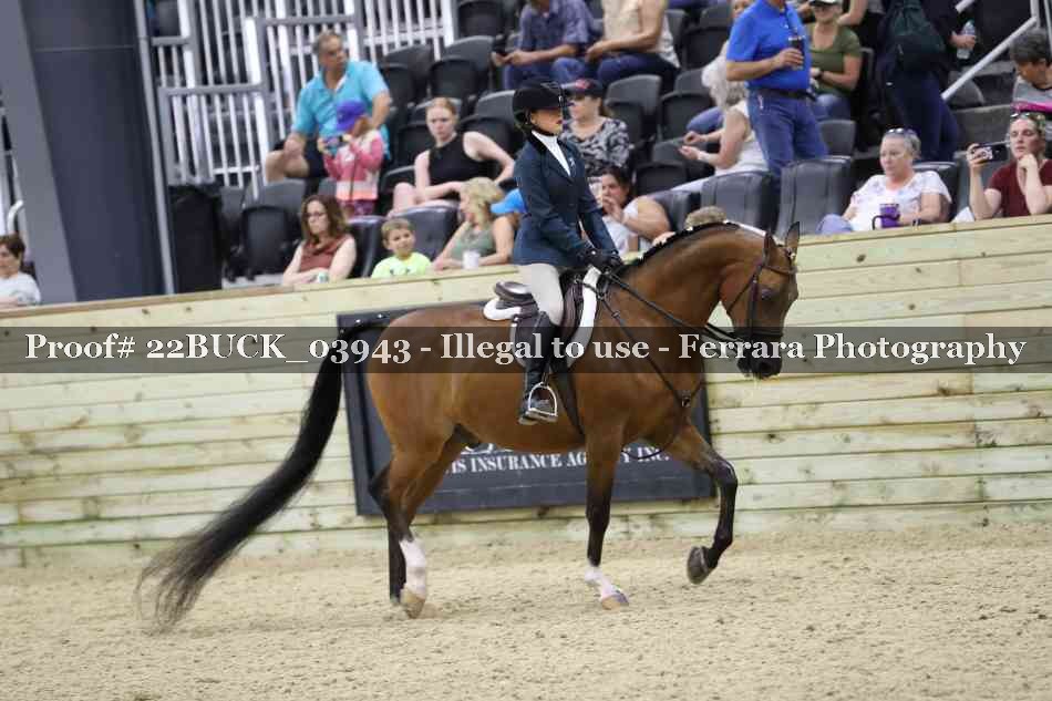 Proof 22BUCK_03943