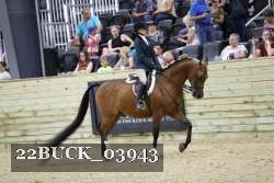 22BUCK_03943 proof