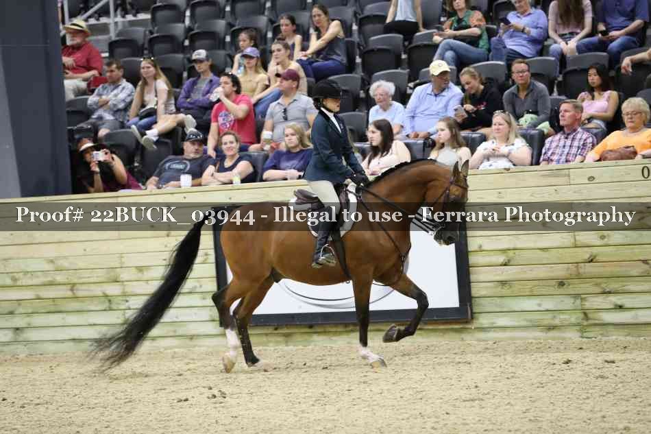 Proof 22BUCK_03944