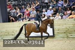 22BUCK_03944 proof