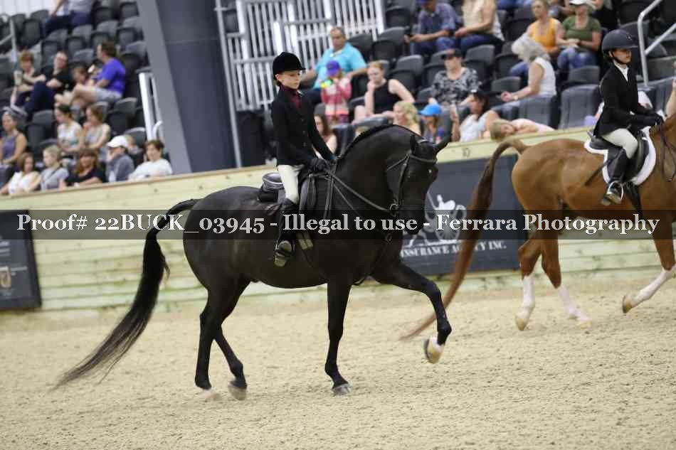 Proof 22BUCK_03945