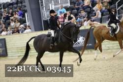 22BUCK_03945 proof