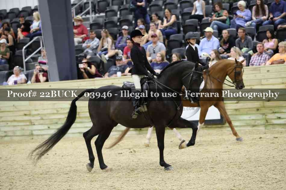 Proof 22BUCK_03946