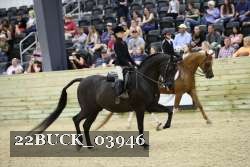 22BUCK_03946 proof