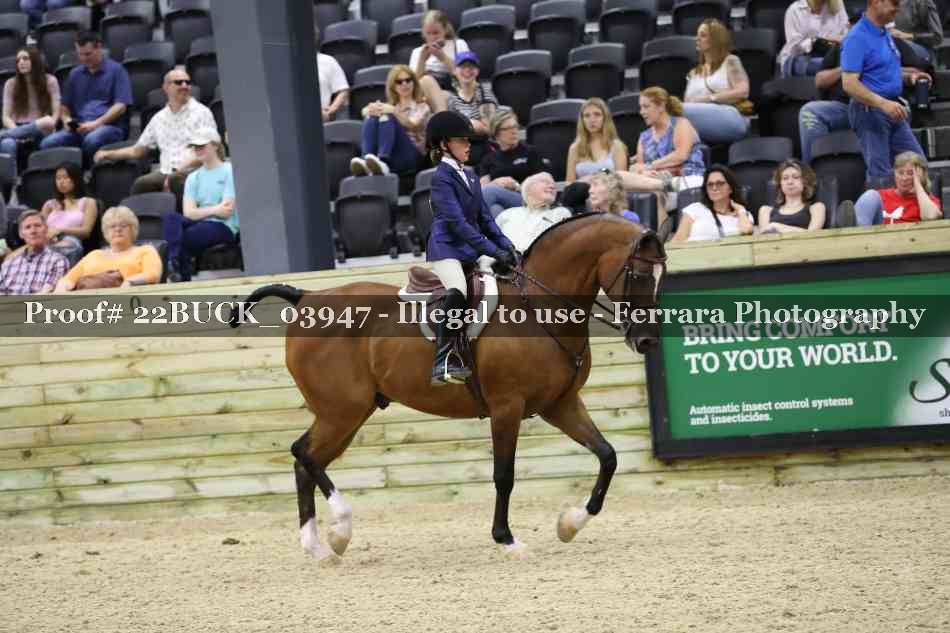 Proof 22BUCK_03947