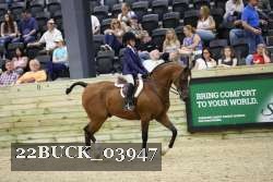 22BUCK_03947 proof