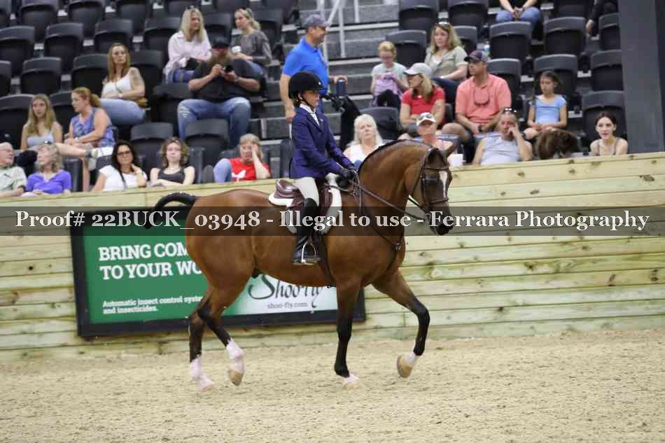 Proof 22BUCK_03948