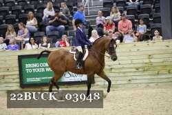 22BUCK_03948 proof