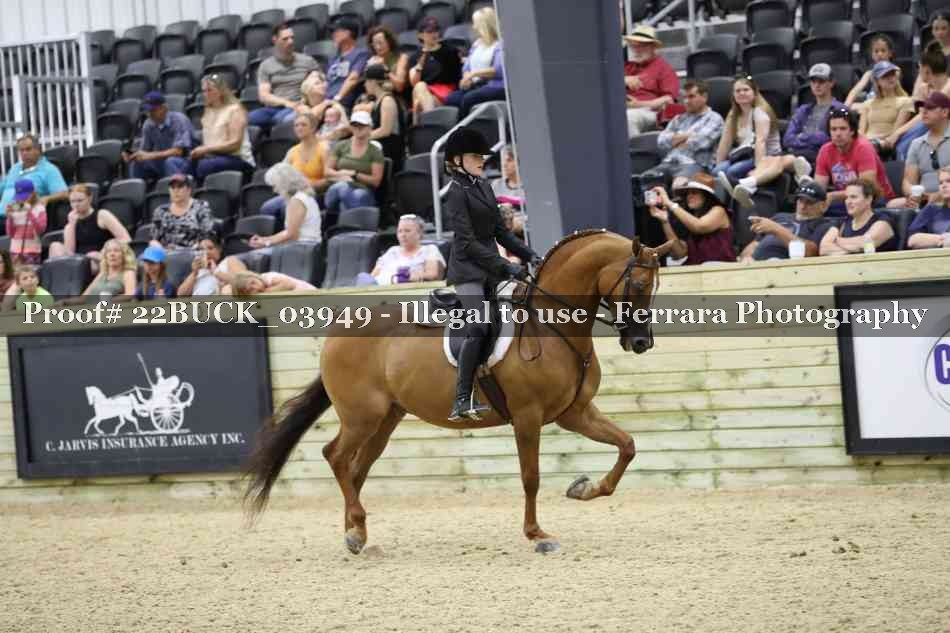 Proof 22BUCK_03949