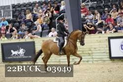 22BUCK_03949 proof
