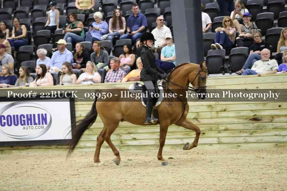 Proof 22BUCK_03950